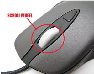 Mouse Scroll Wheel